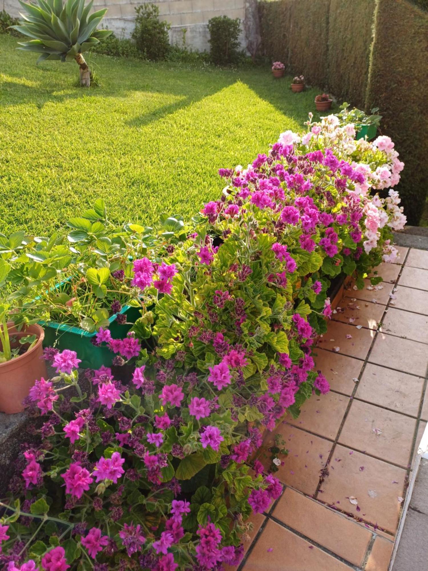 A Casa Da Piruleta Βίλα Bueu Εξωτερικό φωτογραφία
